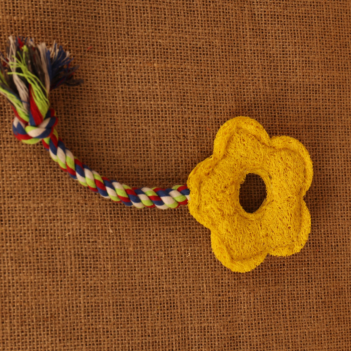 Natural Loofah Cat Toys-Eco-Friendly · Fun · Irresistible to Cats