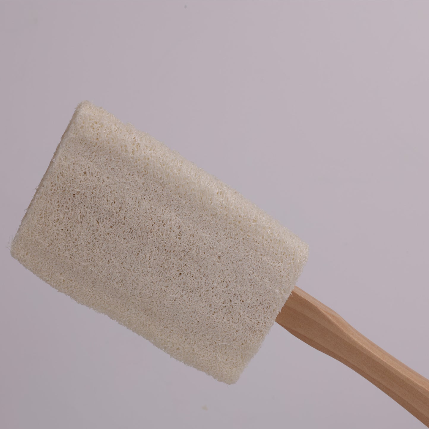 Natural Loofah Dish Brush with Wooden Handle · Eco-Friendly & Durable Pot Scrubber