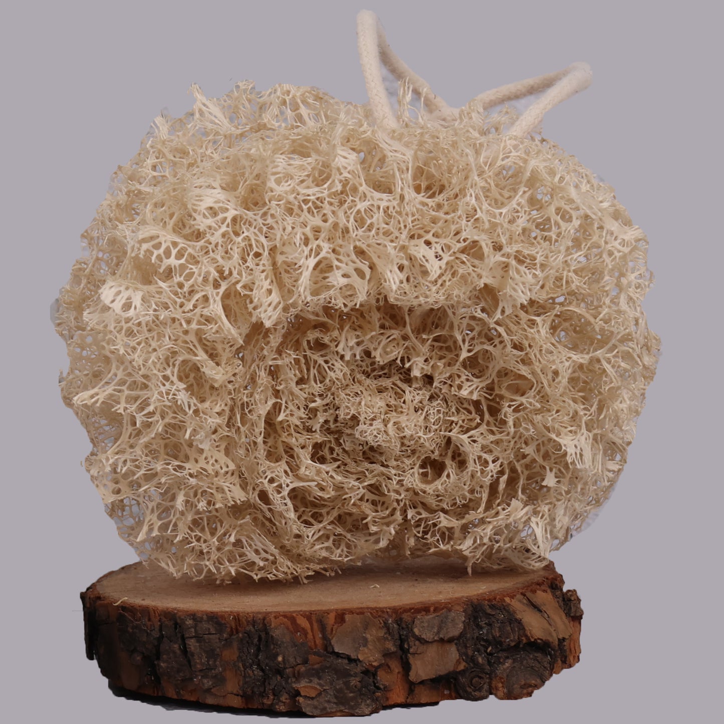 Natural & Eco-Friendly Loofah Scrubber Ball – Made from Mature Hard Loofah, Powerful Cleaning Without Scratching Pans