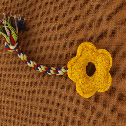 Natural Loofah Cat Toys-Eco-Friendly · Fun · Irresistible to Cats