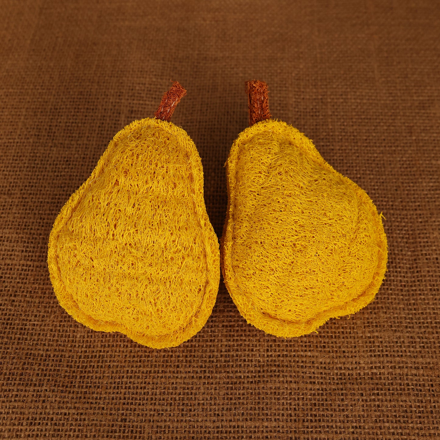 Natural Loofah Cat Toys - Fruit Series (Apple/Pear/Avocado)