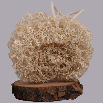 Natural & Eco-Friendly Loofah Scrubber Ball – Made from Mature Hard Loofah, Powerful Cleaning Without Scratching Pans